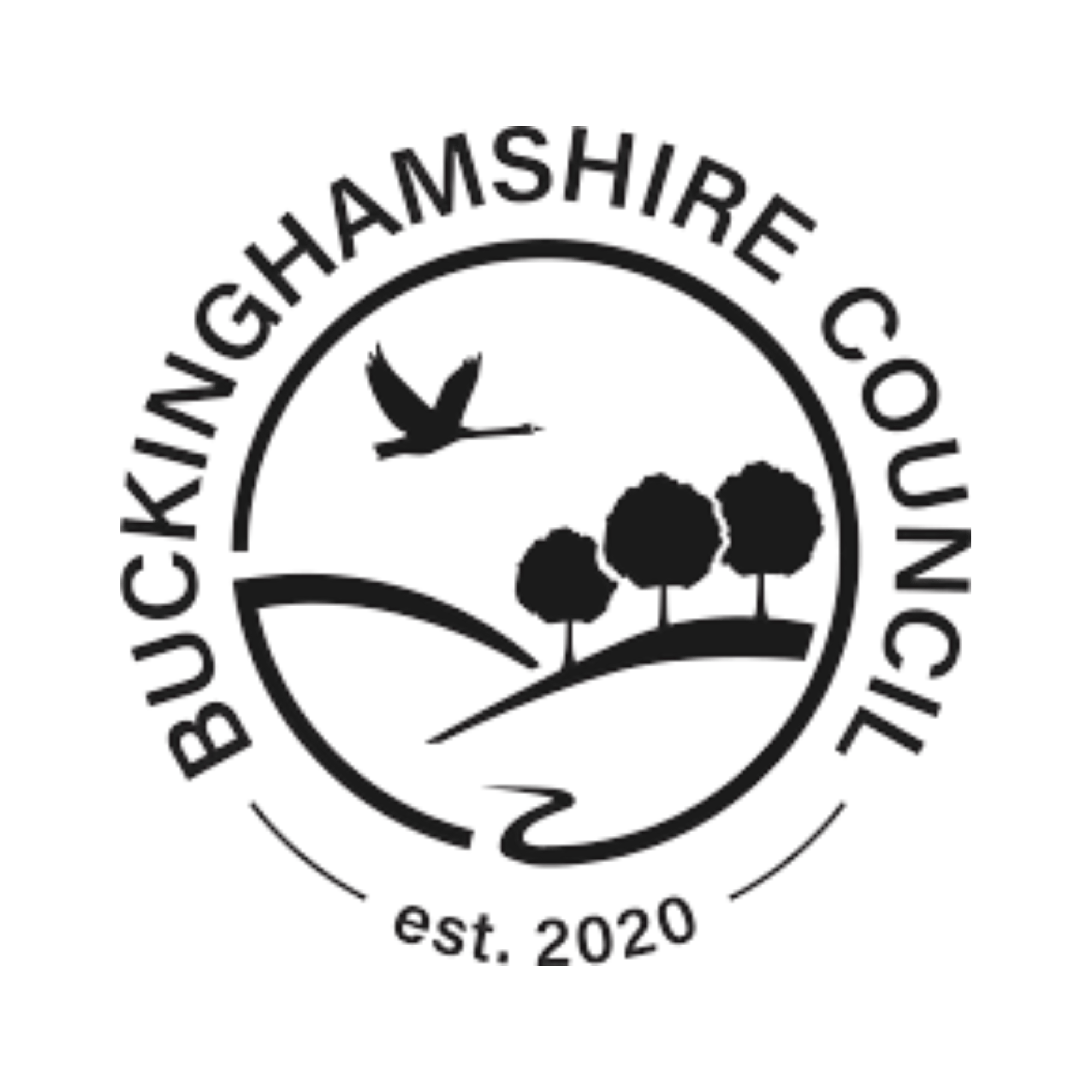 Buckinghamshire Council, United Kingdom Logo-1