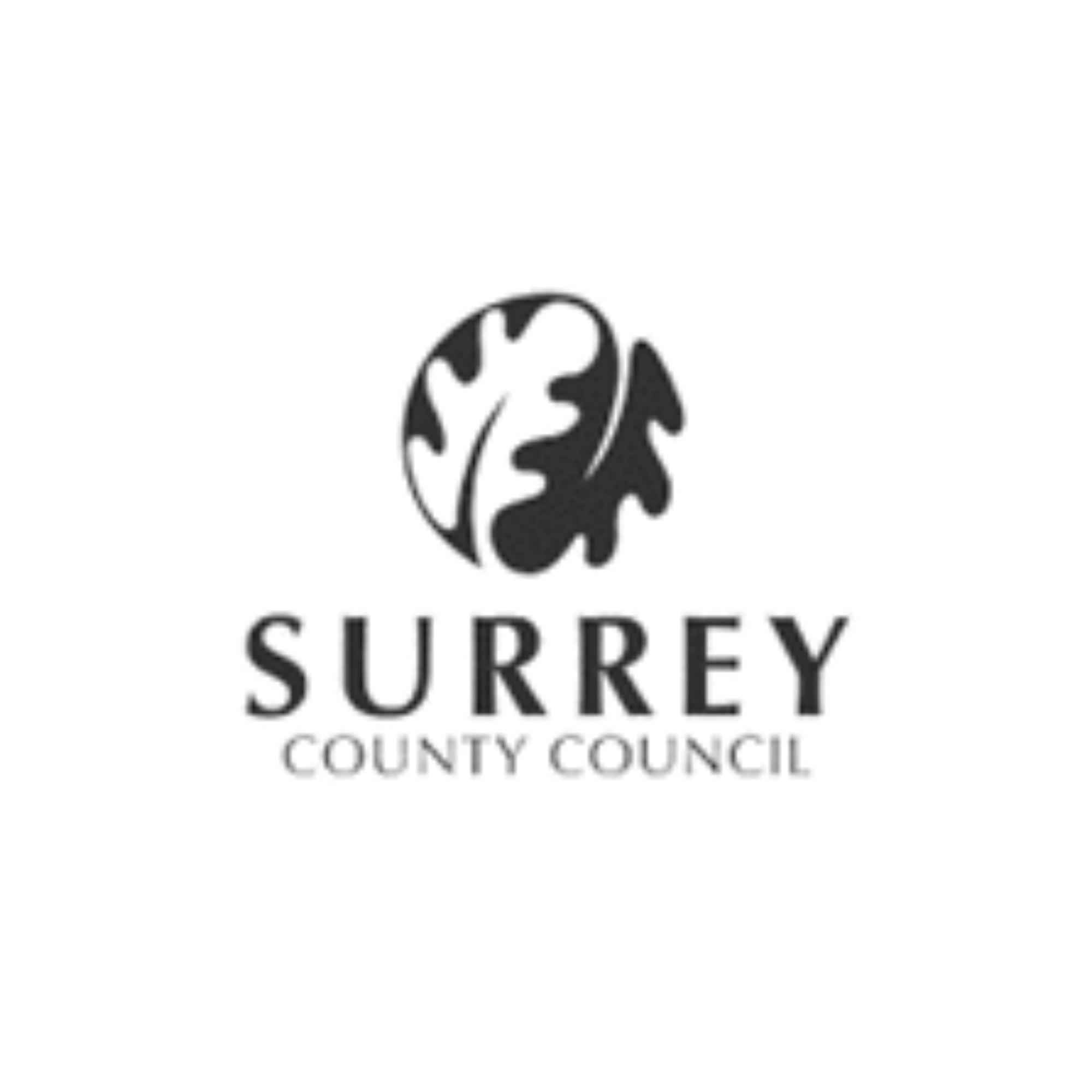 Surrey County Council, United Kingdom Logo-1